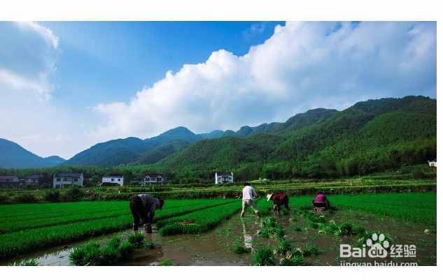 Edge怎么样剪裁网上图片 如何用edge浏览器截图