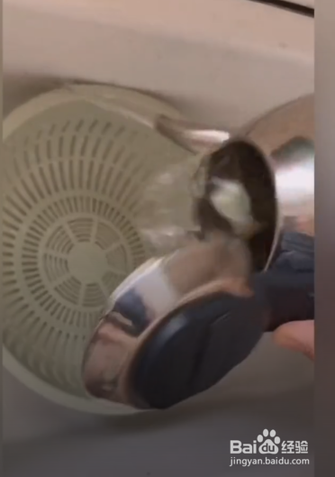 怎样去除热水壶中的水垢
