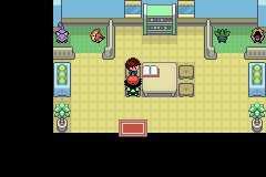 口袋妖怪圣灰攻略图片6