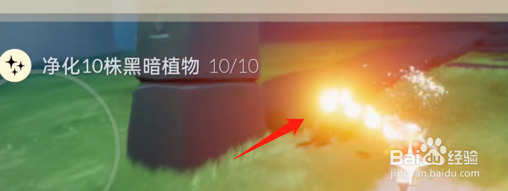 光遇1.2每日任务攻略