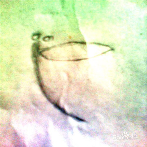 简笔画蜻蜓的画法