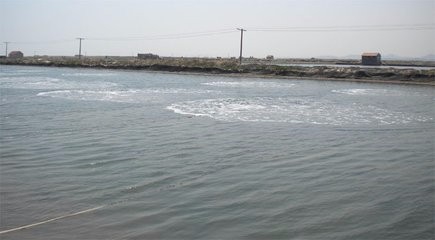 怎样来选择增氧设备