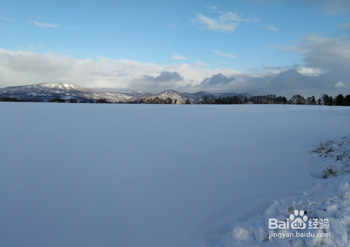 一条性价比爆棚的万元以下日本北海道观雪路线