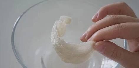 燕窝怎么炖营养又美味,你都知道了吗?