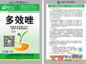 吊兰春季管理方法及注意事项控制匍匐茎太长