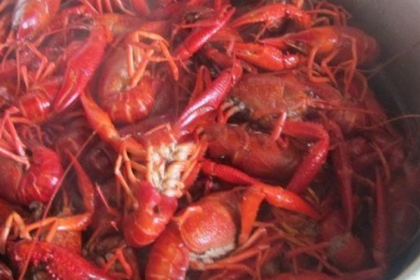 清蒸小龙虾的做法是怎样的