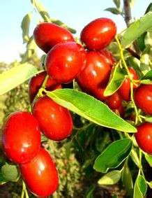 如何让孩子吃的健康