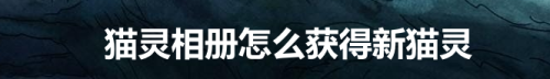 猫灵相册怎么获得新猫灵