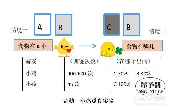 苛勒的小鸡觅食实验