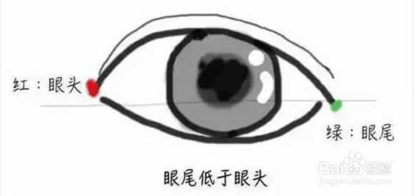 下垂眼的成因有哪些以及如何打造下垂眼妆容呢