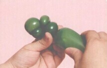 魔法气球造型系列之气球忍者神龟