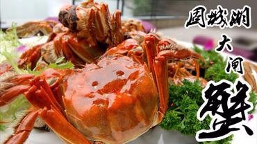 市面上几种常见大闸蟹价格