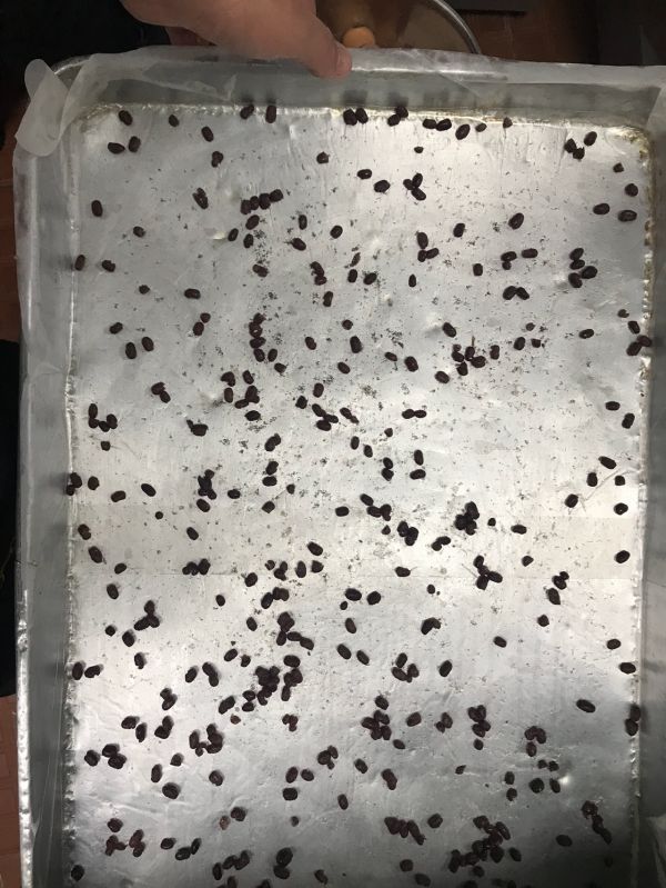 清新抹茶蛋糕卷