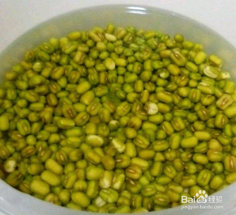 自己在家种豆芽,如何用1个平底锅,随吃随种