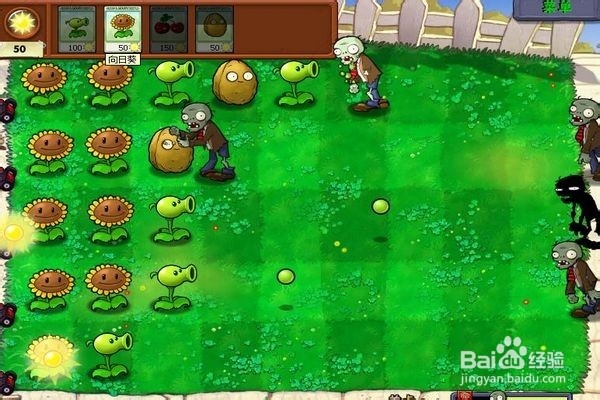 植物大战僵尸的攻略（四）