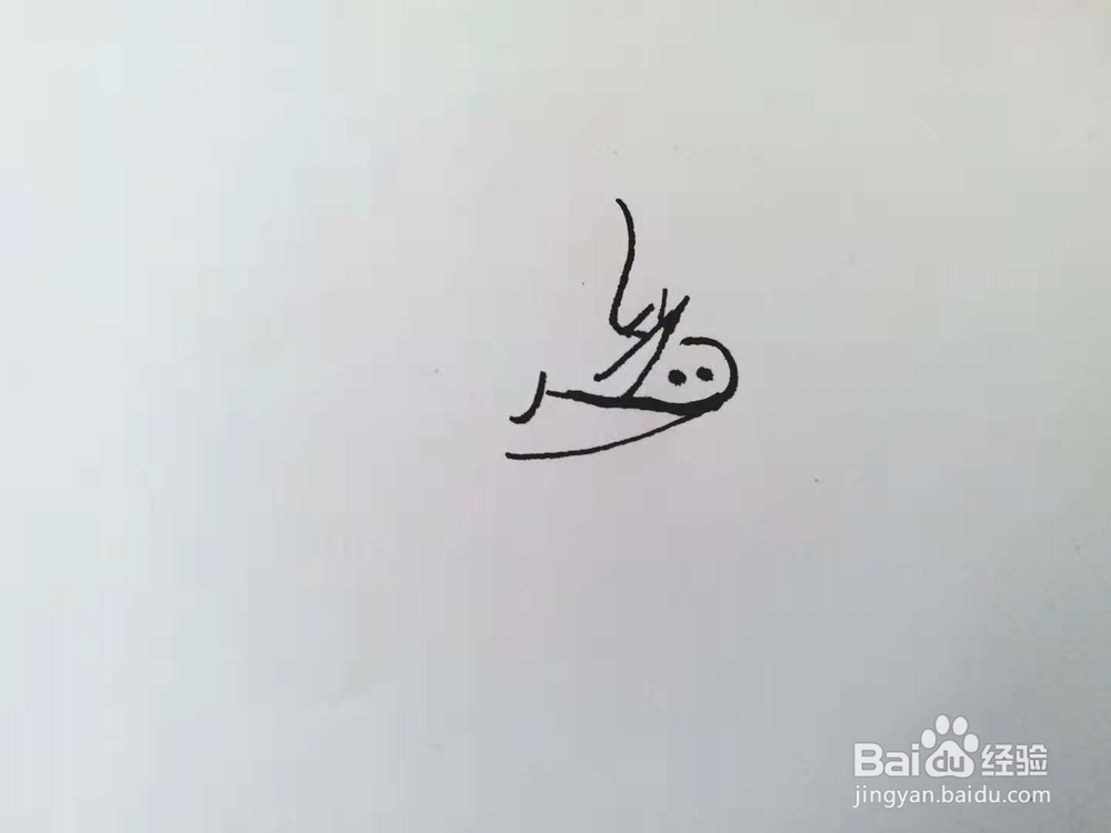 野猪的简笔画法（三）