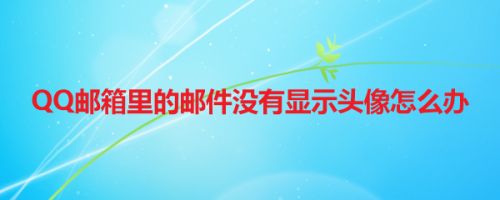 QQ邮箱里的邮件没有显示头像怎么办