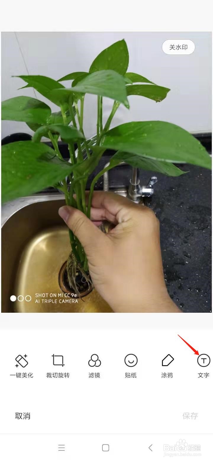 手机照片如何添加文字