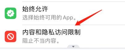 iPhone开启访问限制后怎么允许定位服务