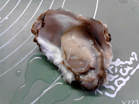 蒜蓉生蚝的做法蒸多久