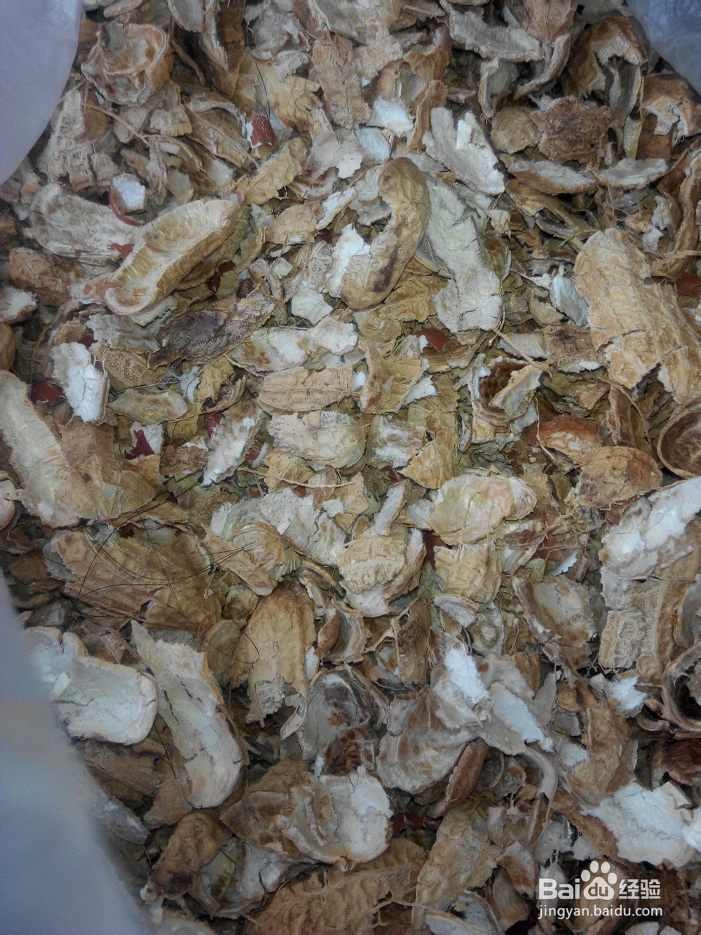 蝴蝶兰换土要提前准备