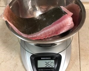 如何制作啫啫鱼煲