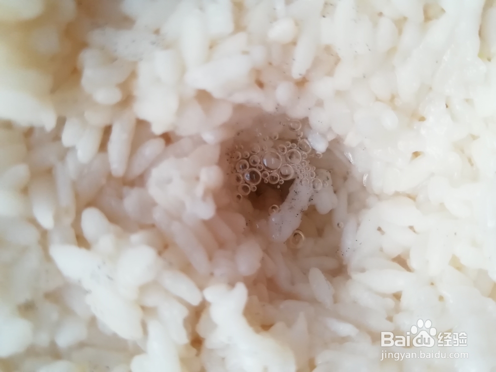 新手易做的醪糟