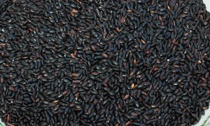 黑米薏米仁红枣粥怎么做