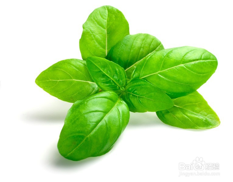 做面包、蛋糕、饼干需要什么食材呢?