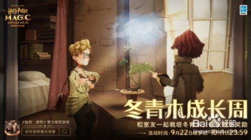 哈利波特魔法觉醒冬青木盆栽位置攻略