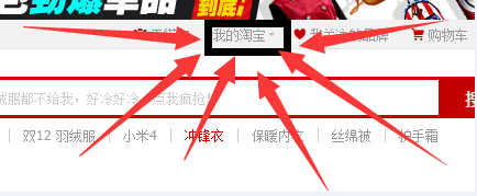 电脑查看支付宝十年账单