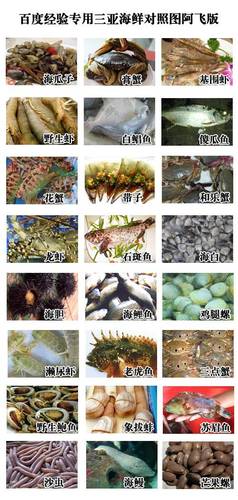 怎样在三亚买到又便宜又好的海鲜