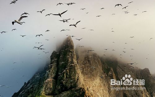 怎么用screen管理远程会话