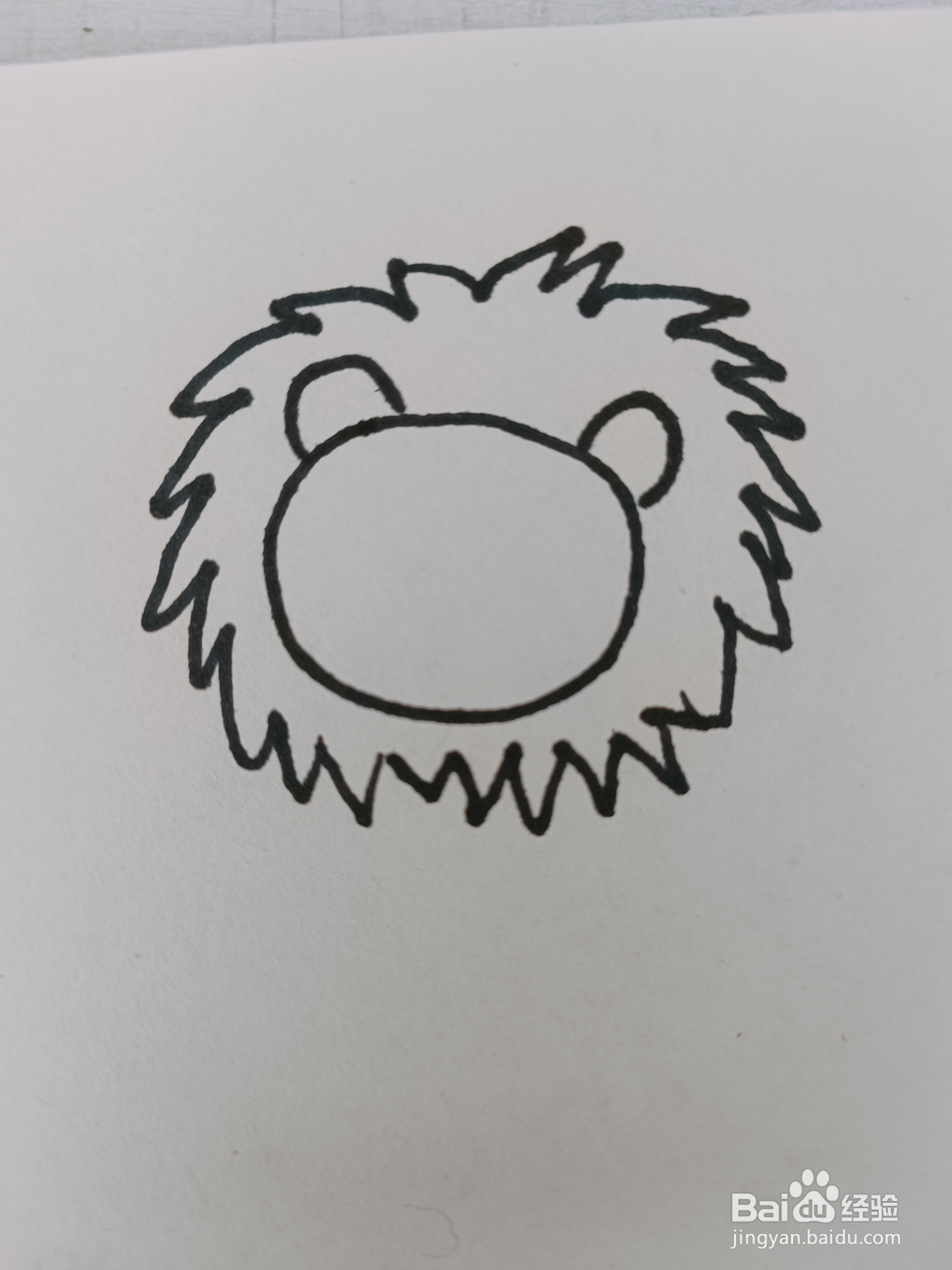 狮子怎么画