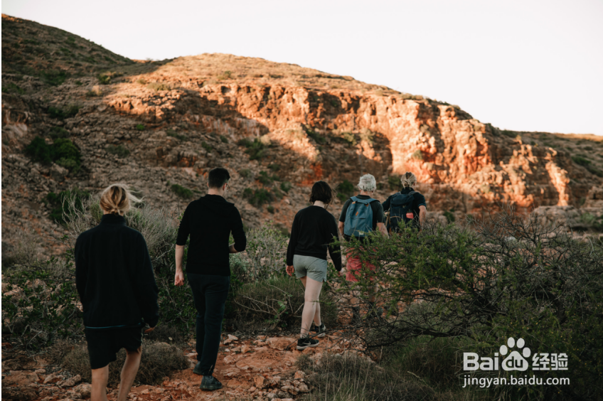 去西澳大利亚旅游,宁加洛珊瑚礁怎么玩?