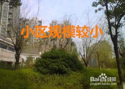 小区如何 实行自治