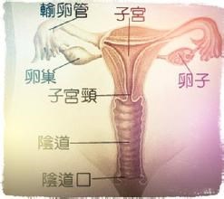 从怀孕到宝宝出生需要做的重要检查