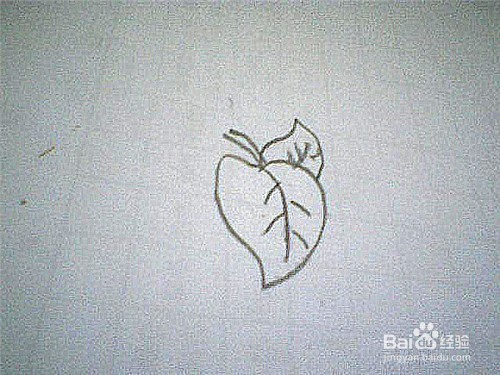 简笔画绿萝叶子这样画