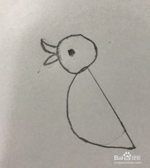 鸭子的简笔画的画法