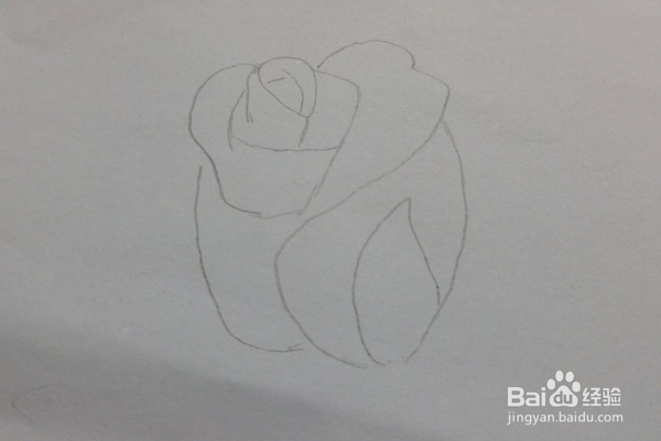 美丽的玫瑰花的画法