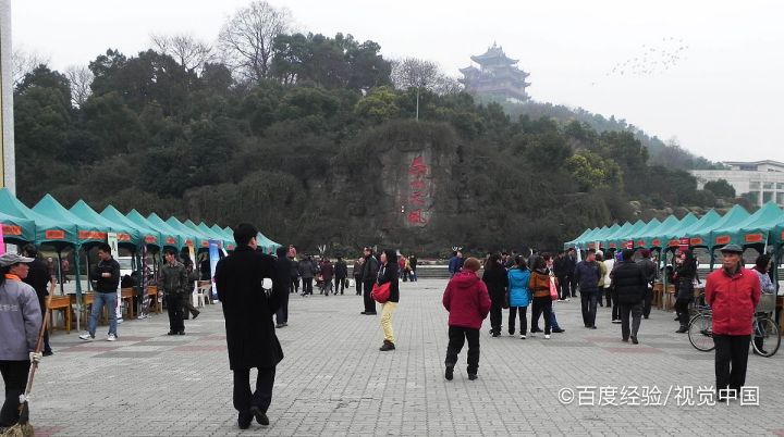 如何调整就业心态