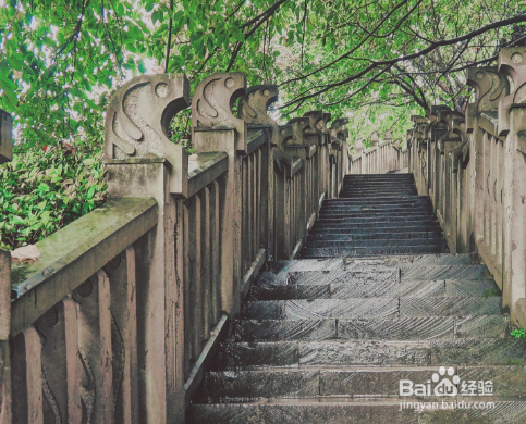 去重庆游玩的打卡景点