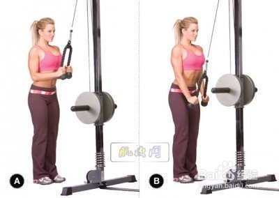 健身房基础力量锻炼计划