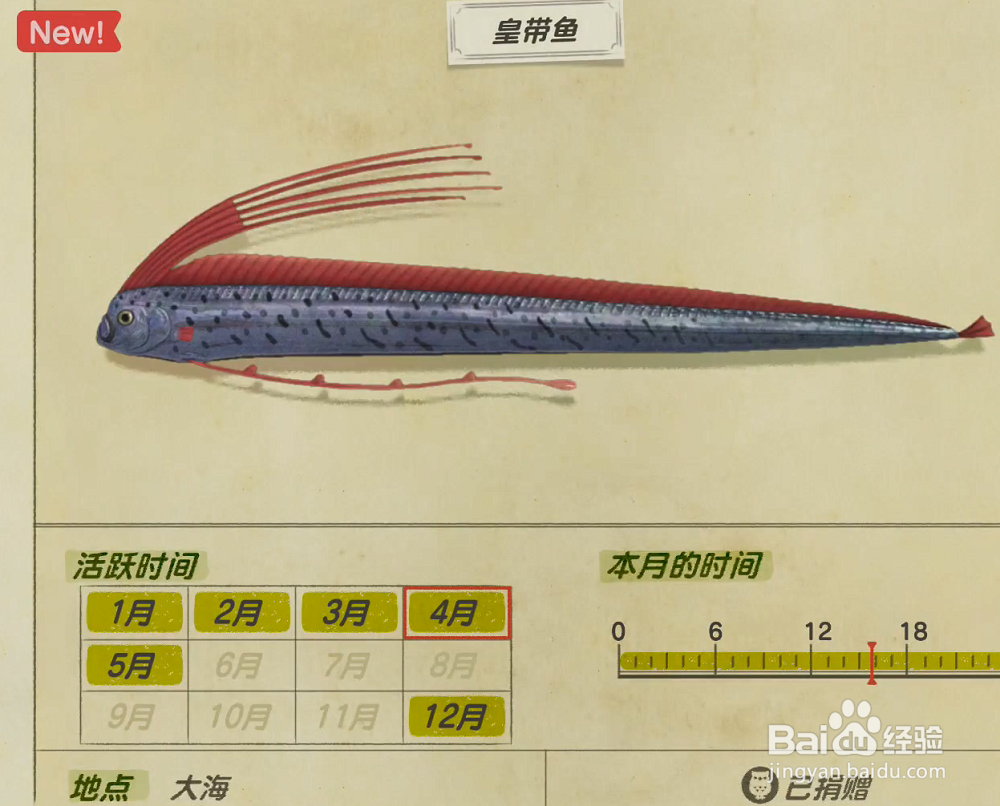 动森皇带鱼怎么钓