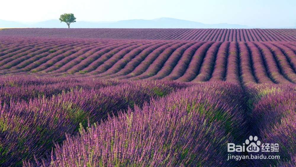 全抖音最火前十首纯音乐BGM