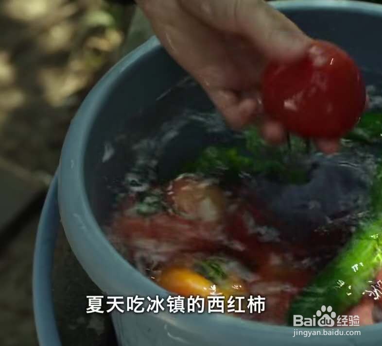 乡间的暑假生活攻略