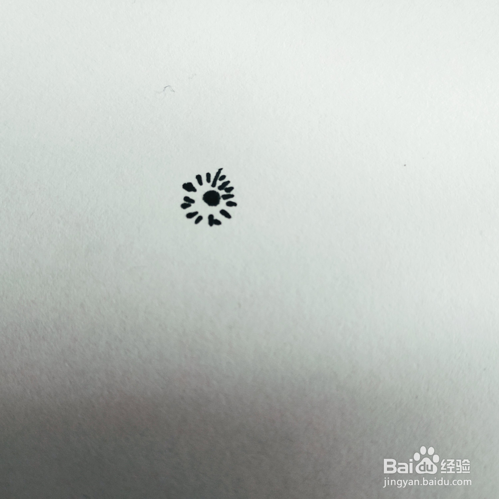 三岁孩子也能够学会的画小花简笔画的画法