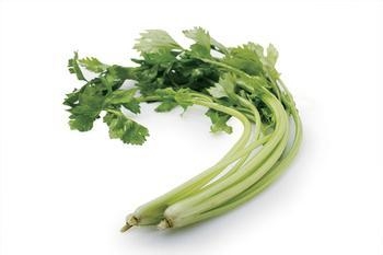 美容瘦身--番茄芹菜汁