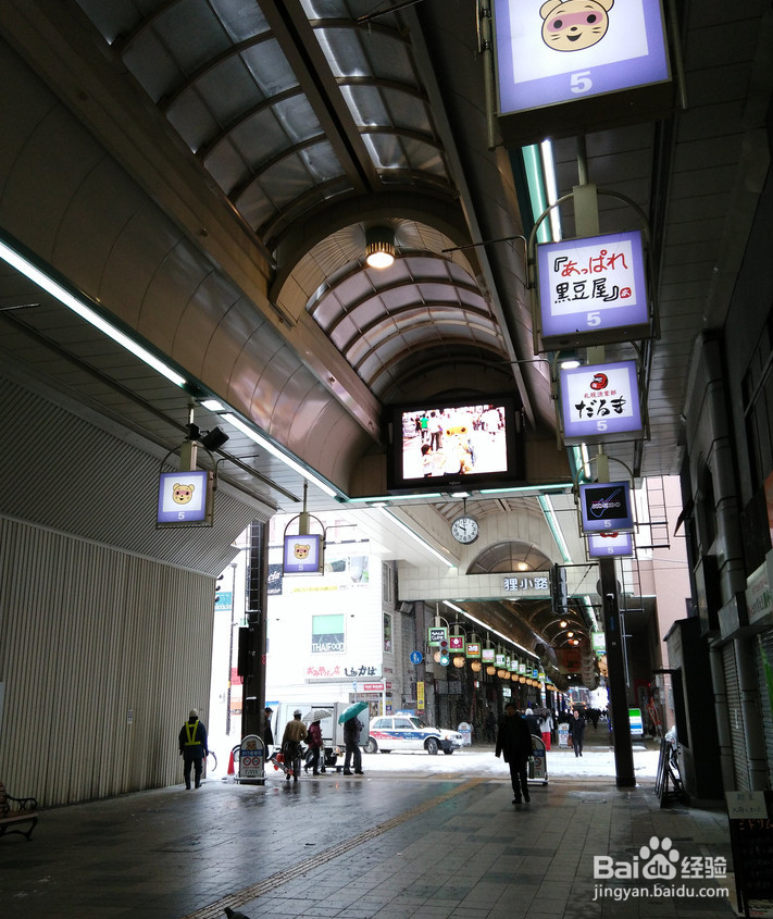 一条性价比爆棚的万元以下日本北海道观雪路线