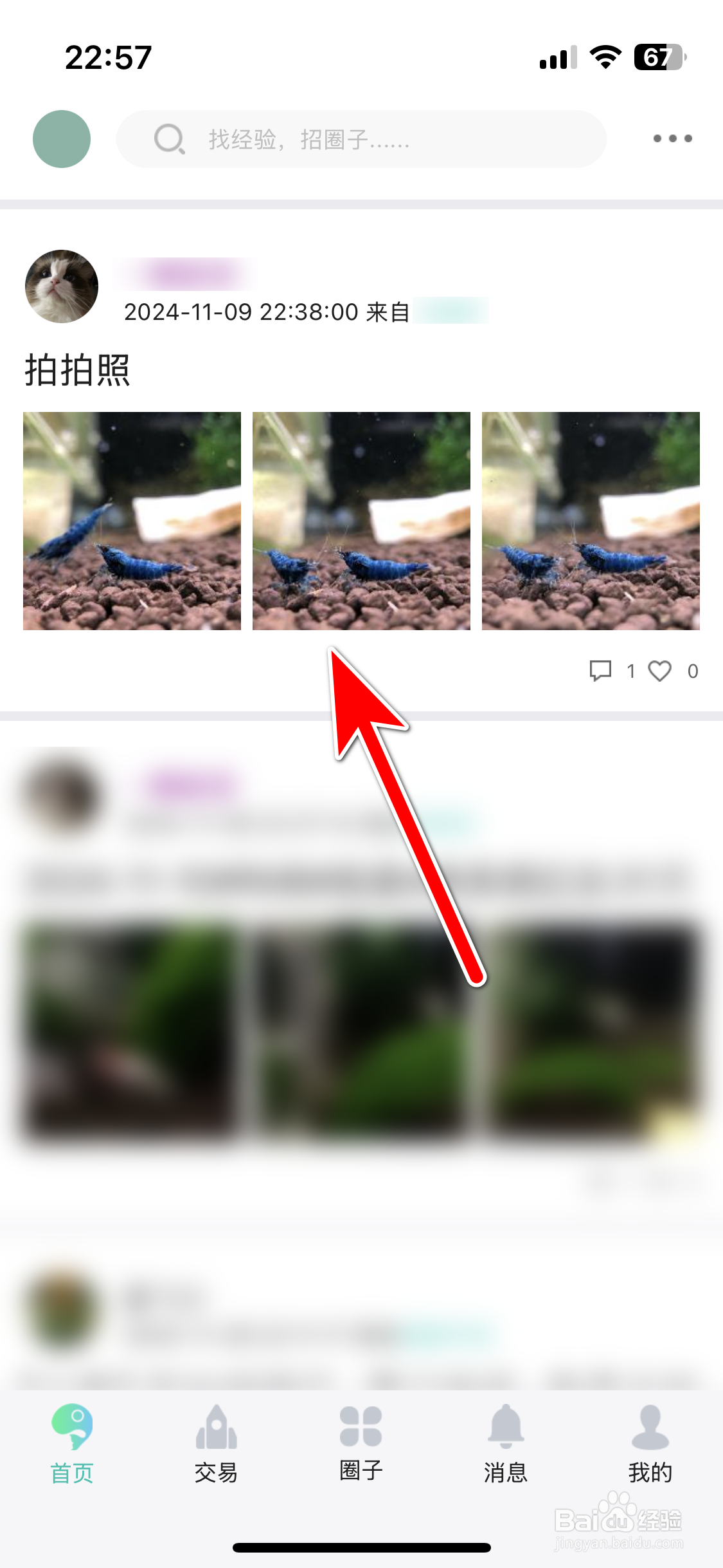 泡泡水族如何分享动态给微信好友